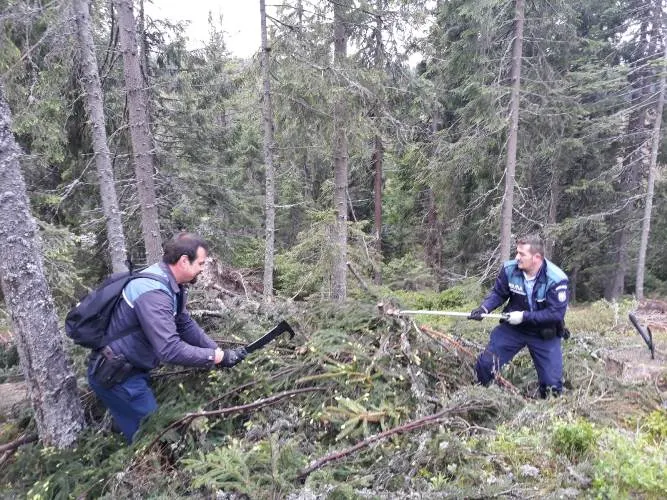 FOTO | Acţiune a poliţiştilor clujeni pentru prevenirea tăierilor ilegale de arbori