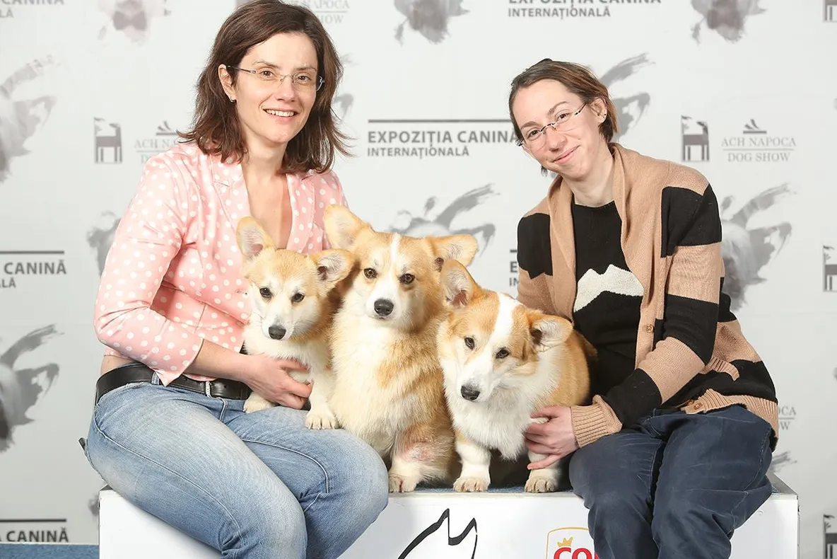 Napoca Dog Show - evenimentul chinologic clujean al anului 2019