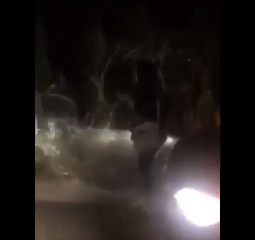 VIDEO | Tânără din Cluj bătută cu bestialitate de un bărbat, în timp ce prietenii lui filmau