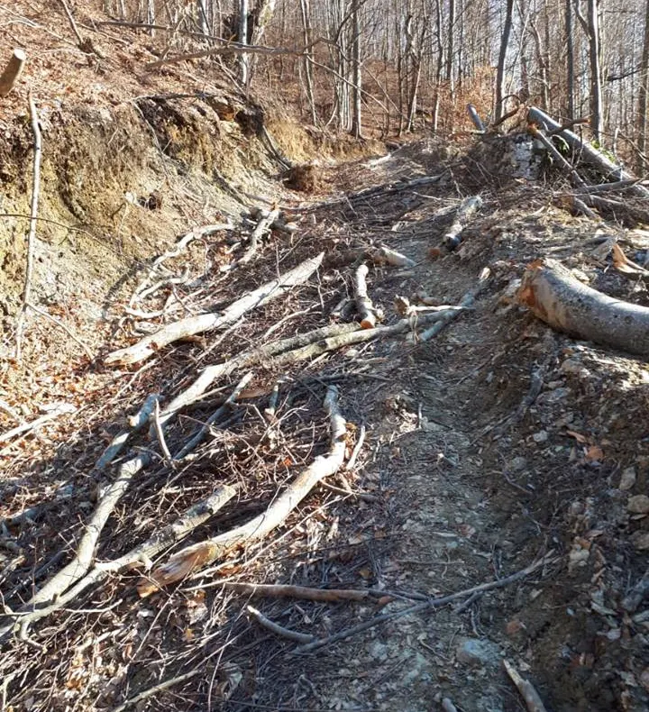 FOTO |  Au reînceput lucrările pe drumurile judeţene