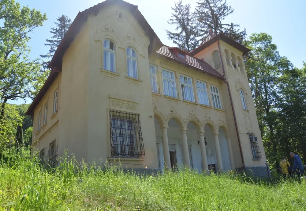 Decizie definitivă a instanței: Castelul și domeniul lui Octavian Goga de la Ciucea rămân în proprietatea Consiliului Județean Cluj