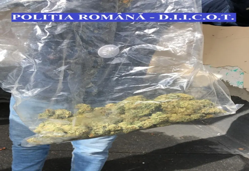 FOTO | Percheziţii în Cluj-Napoca! Doi tineri au fost reţinuţi pentru trafic de droguri