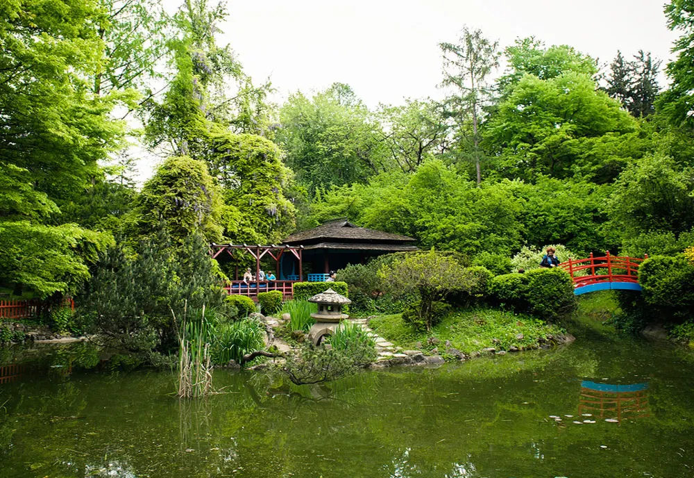 Număr de vizitatori în creștere la Grădina Botanică „Alexandru Borza” din Cluj