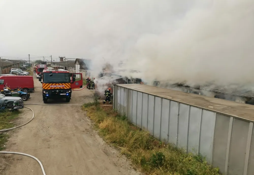 Hală cuprinsă de flăcări în Jucu de Mijloc (FOTO)