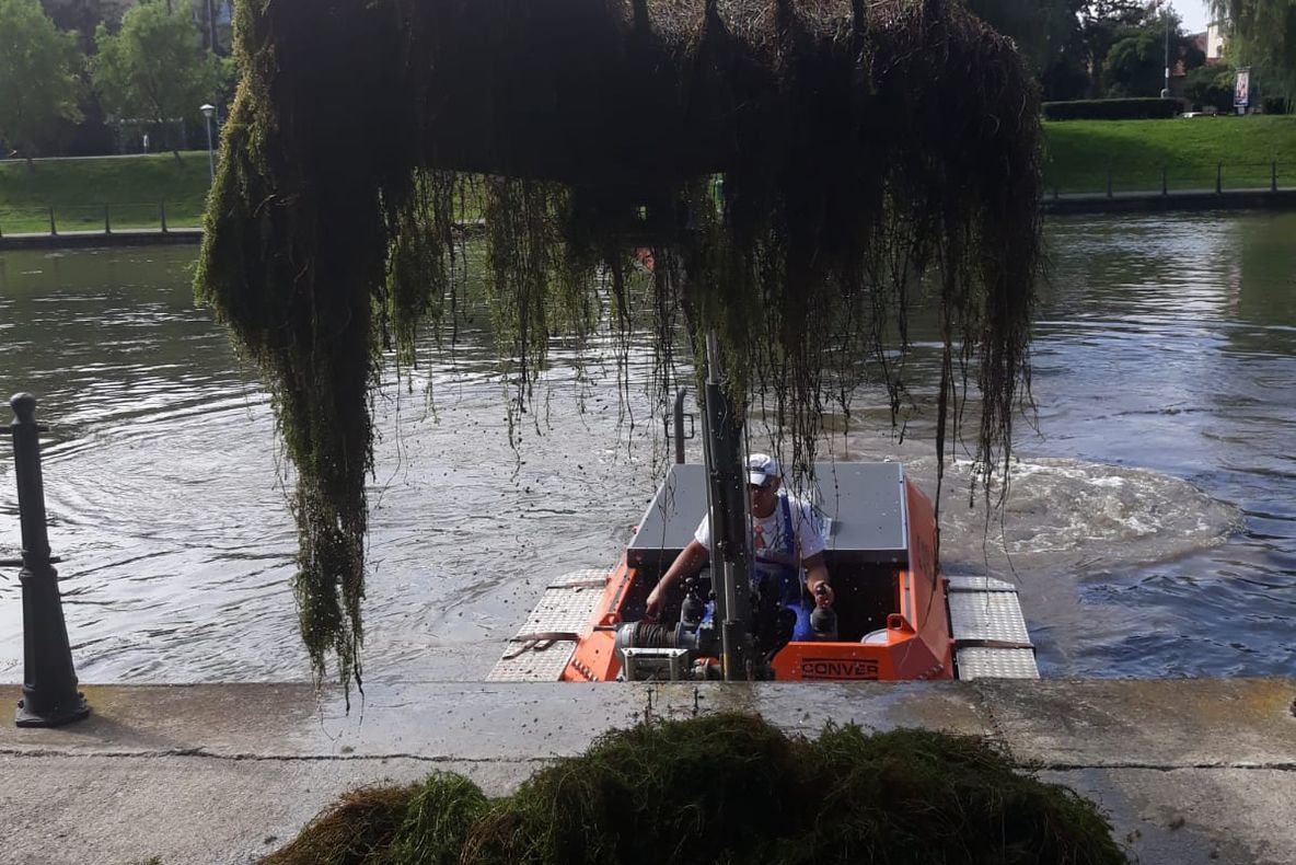 FOTO | Intervenții cu utilajul amfibiu pentru curățarea Someșului Mic! Au fost colectate 30 de tone de vegetație acvatică