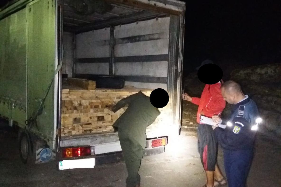 FOTO | Autocamioane şi materiale lemnoase confiscate, în urma unor acţiuni ample ale poliţiştilor