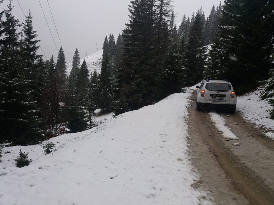 FOTO | Activități practice inedite pentru elevii Școlii Gimnaziale “Emil Isac”