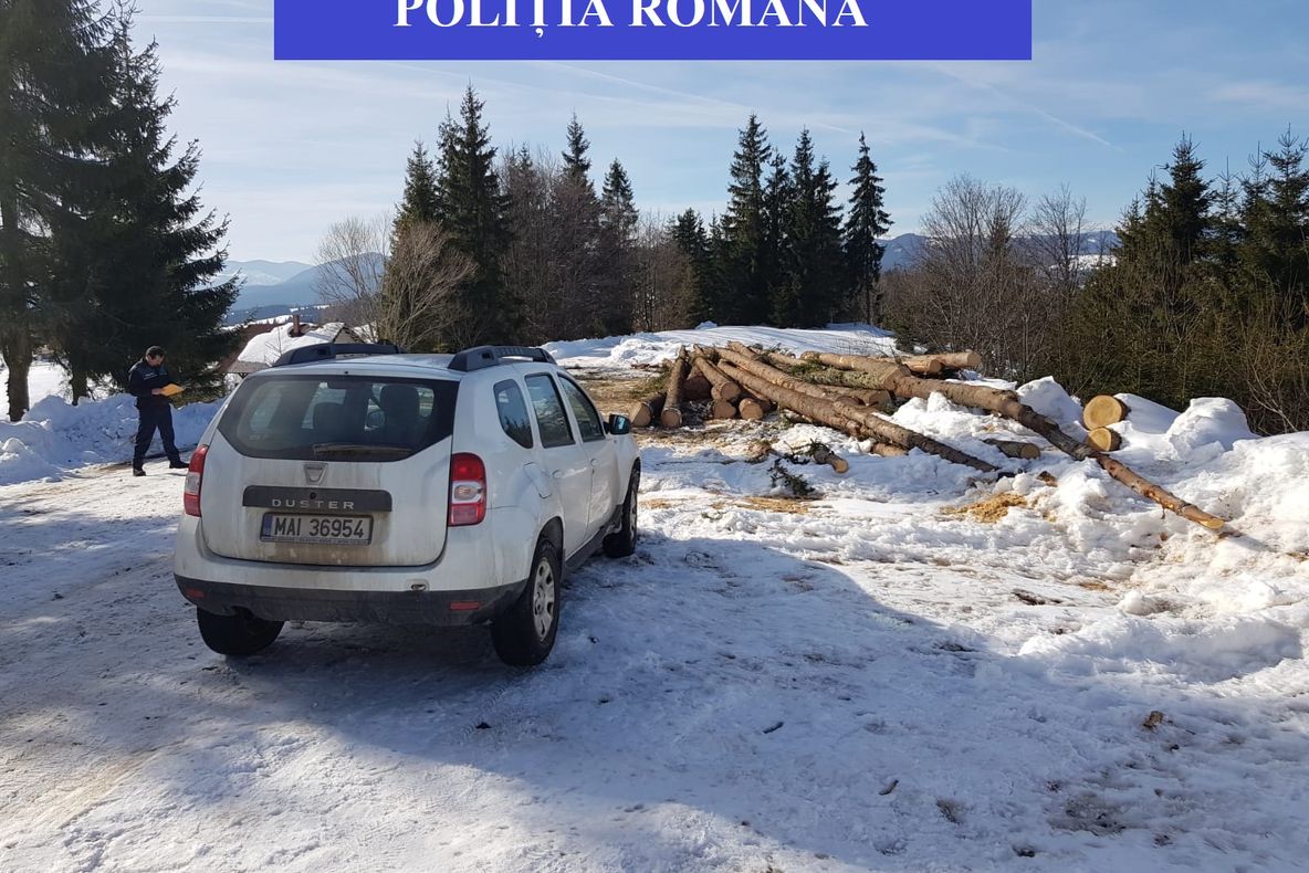 FOTO | Poliția Huedin a confiscat material lemnos de peste 7.400 de lei