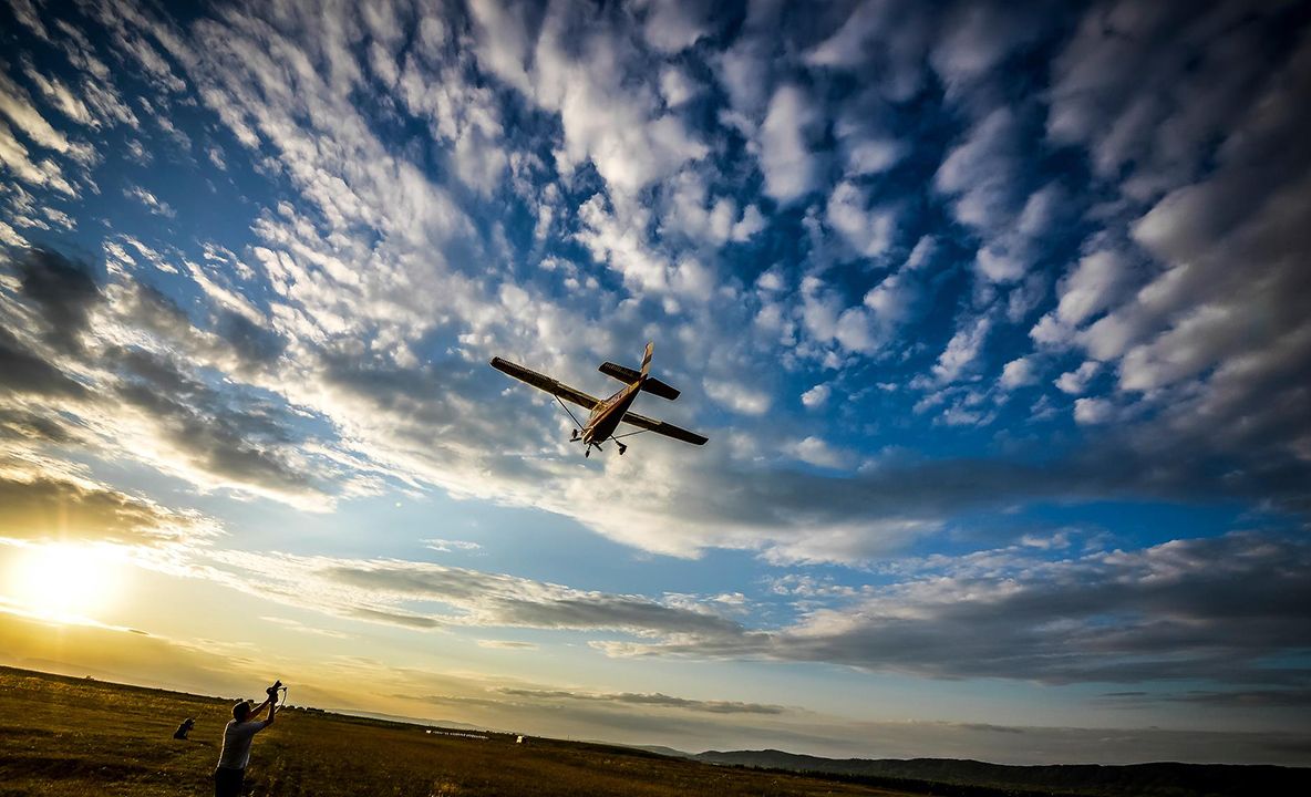 Festivalul Elementum, peste 20 de hectare de activități pentru întreaga familie, la Cluj, în iunie