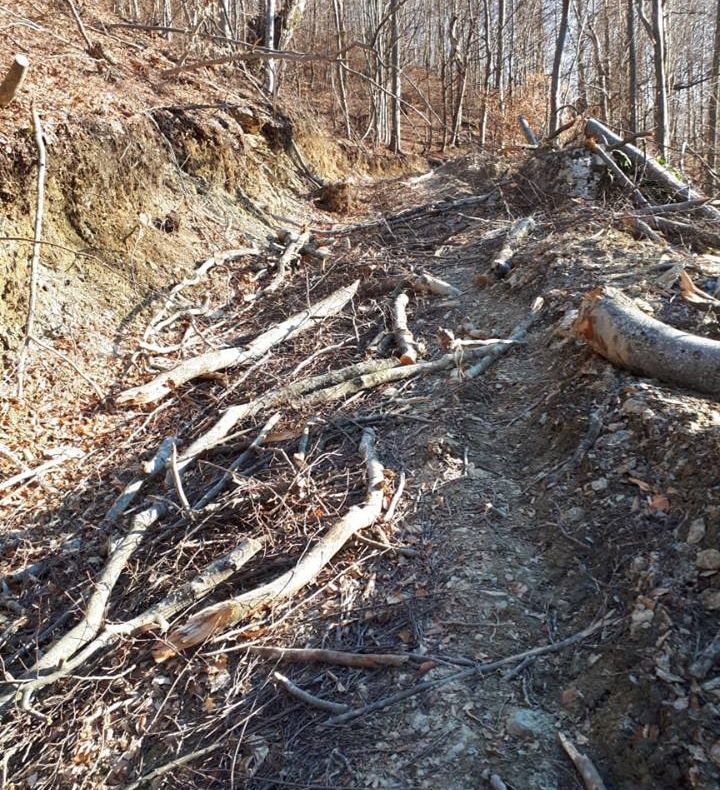 FOTO |  Au reînceput lucrările pe drumurile judeţene
