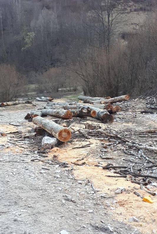 Erasmus: Experiențe practice ale elevilor Școlii Gimnaziale “Emil Isac” (FOTO)