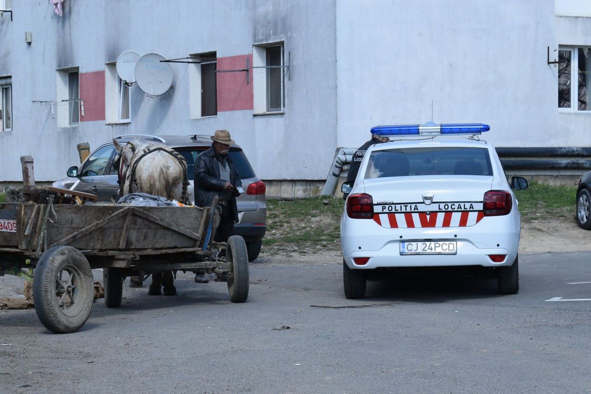 FOTO | Acţiune a Poliţiei Locale Dej! Poliţiştii au confiscat mai multe atelaje