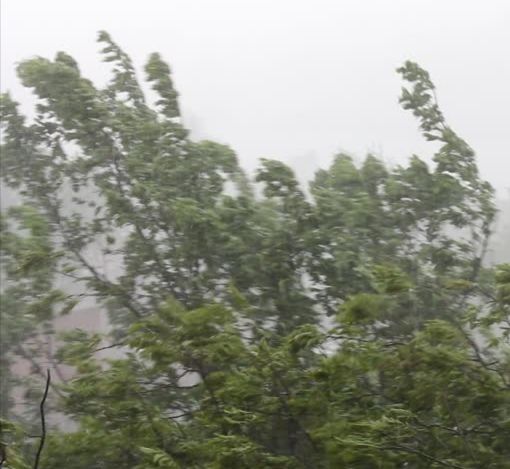 Cod galben de vânt la Cluj