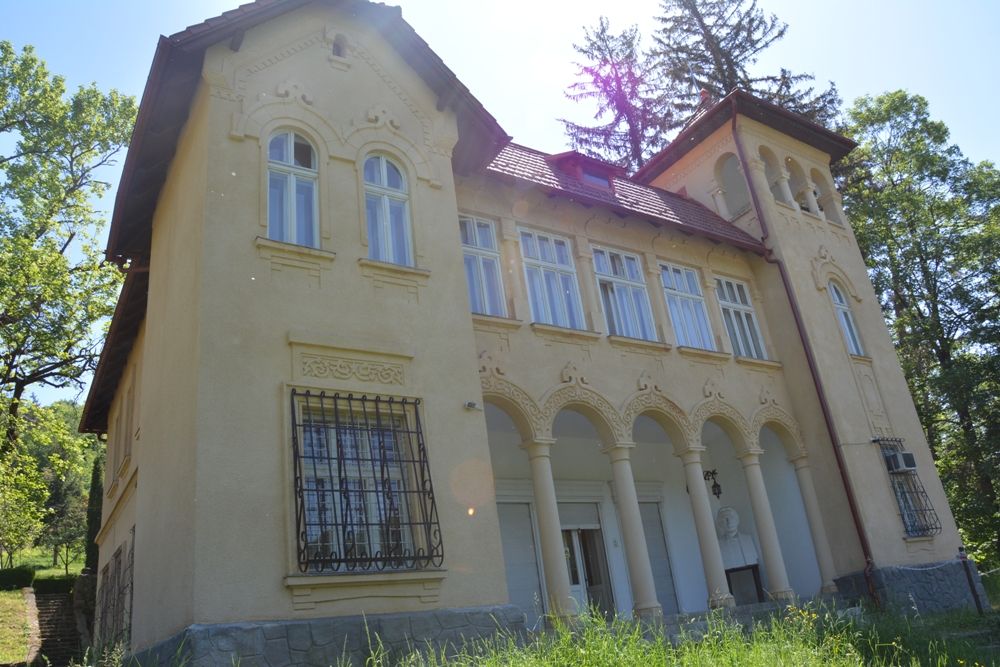 Consiliul Județean Cluj a câștigat procesul privind castelul de la Ciucea