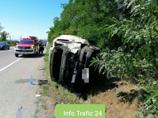 FOTO | Căprioară lovită mortal de o autoutilitară pe DN1C