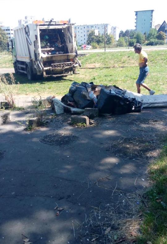 Curățenie în pădurea de lângă zona „La Terenuri” din cartierul Mănăștur