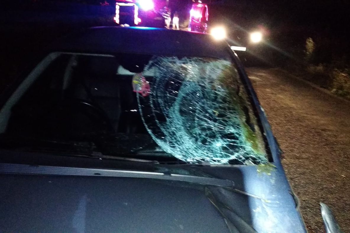 FOTO | Accident în Luna de Jos! Două persoane au fost rănite, iar un cal a murit