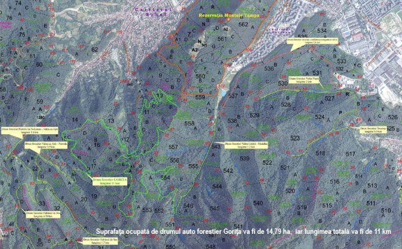 Consiliul Județean Cluj ”burdușește” drumul Mociu - Frata - Viișoara
