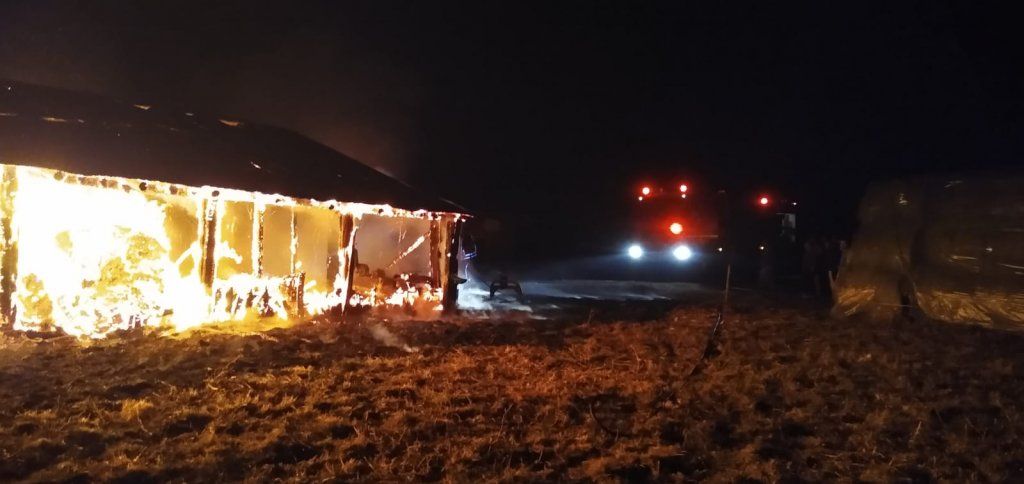 11 animale au ars de vii într-un incendiu! Pompierii s-au luptat cu flăcările mai bine de patru ore (FOTO)