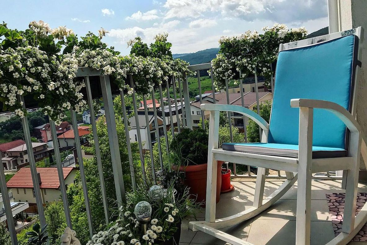 FOTO | S-au anunţat câştigătorii concursului "Clujul cu flori"