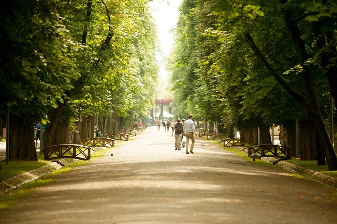 Sistem modern de irigații pentru Parcul Central