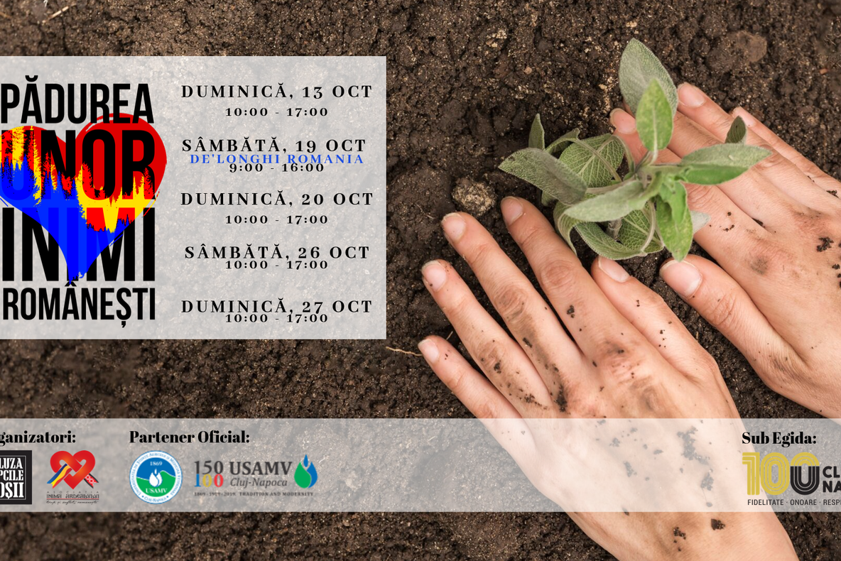 Proiectul „Pădurea unor inimi românești” continuă