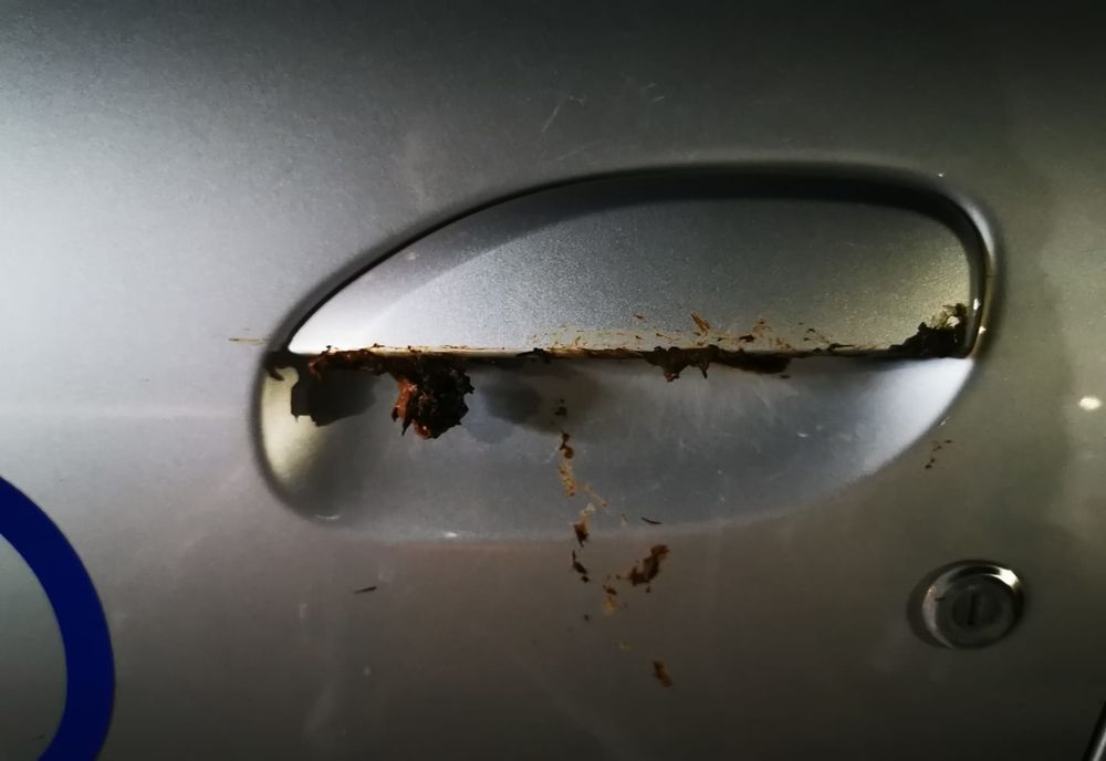 FOTO | Mai multe maşini dintr-un cartier clujean au fost murdărite cu fecale