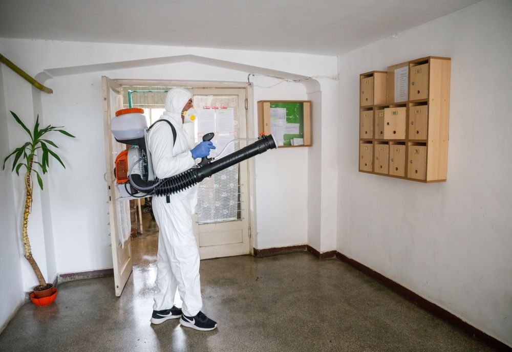 FOTO | Dezinfecție la blocurile de pe raza municipiului Cluj-Napoca