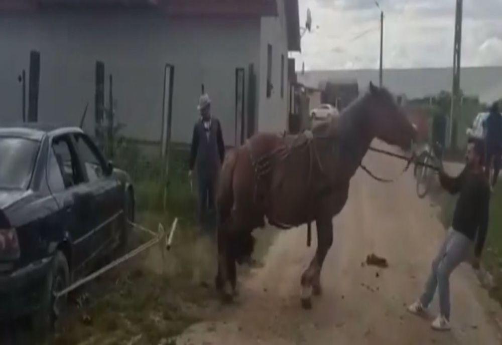 Imagini şocante în judeţul Cluj! Cal pus de proprietar să tragă un BMW (VIDEO)