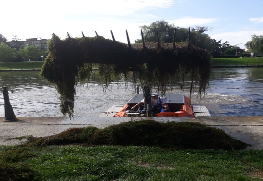 Intervenții cu utilajul amfibiu pentru curățarea Someșului Mic și a lacurilor din Gheorgheni