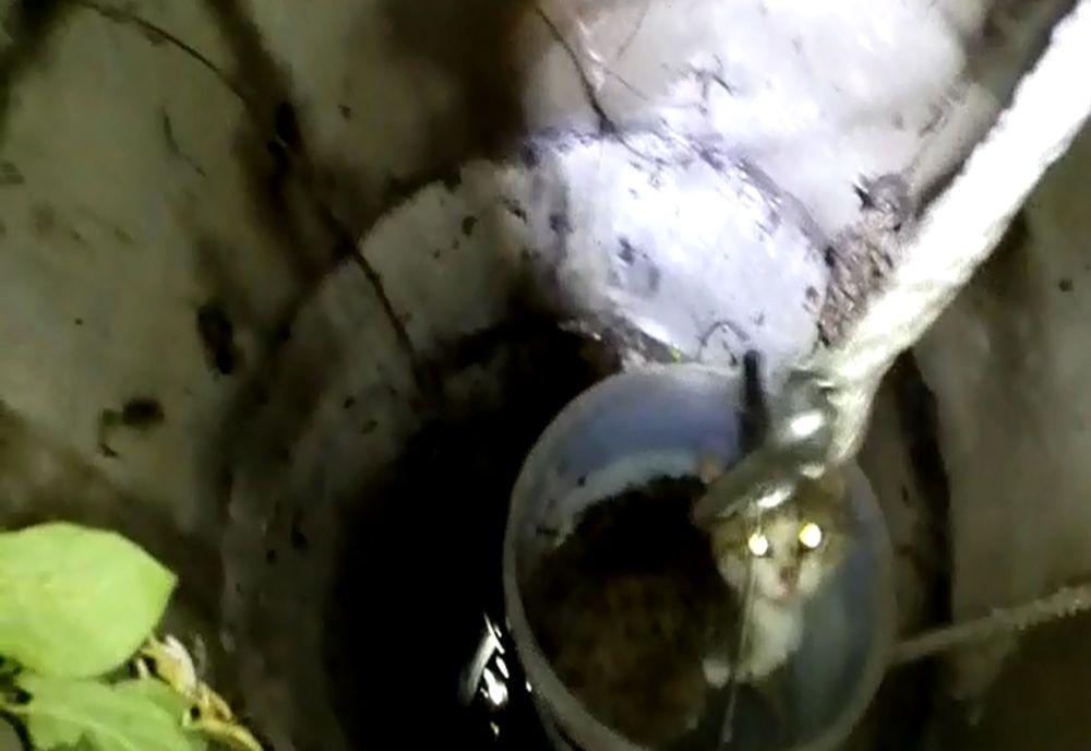 VIDEO | Pompierii dejeni au salvat o pisică dintr-o fântână adâncă de 7 metri