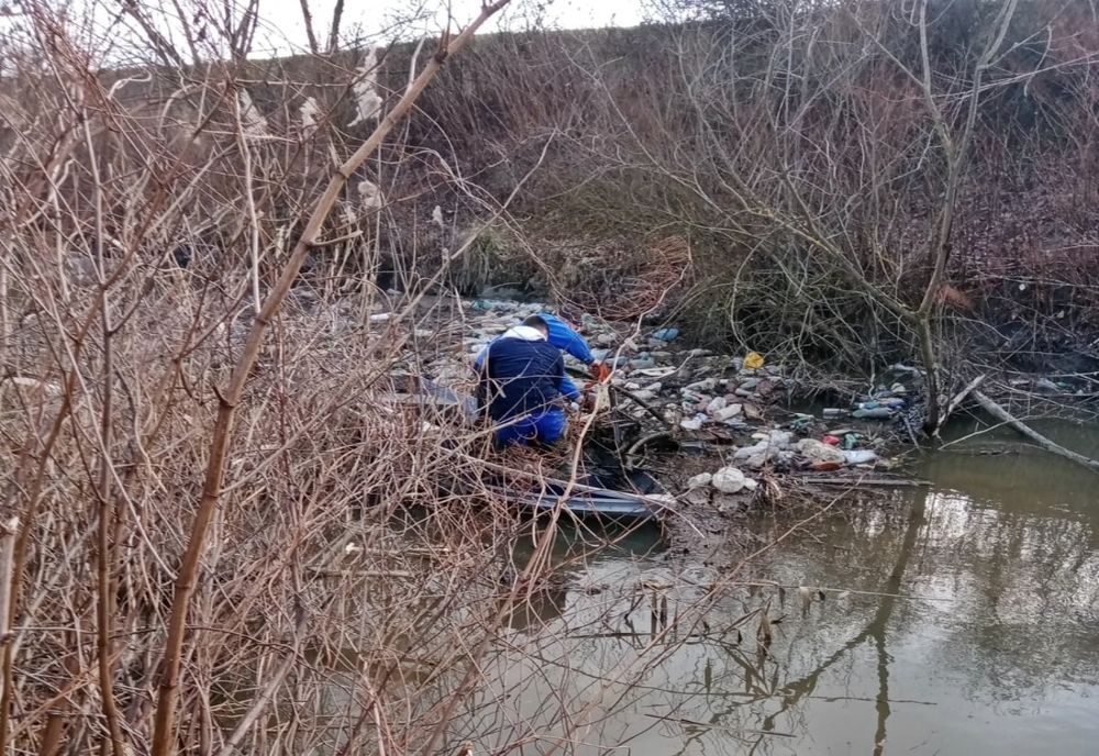 Acțiuni de igienizare a 10 cursuri de apă din aria de competență a ABA Someș-Tisa, de Ziua Mondială a Apei! Ce acțiuni vor mai fi organizate