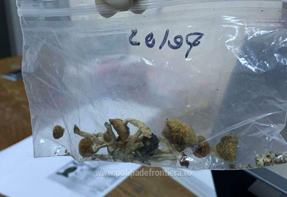 FOTO | American prins pe aeroportul din Cluj cu ciuperci halucinogene! A declarat că merge la un festival