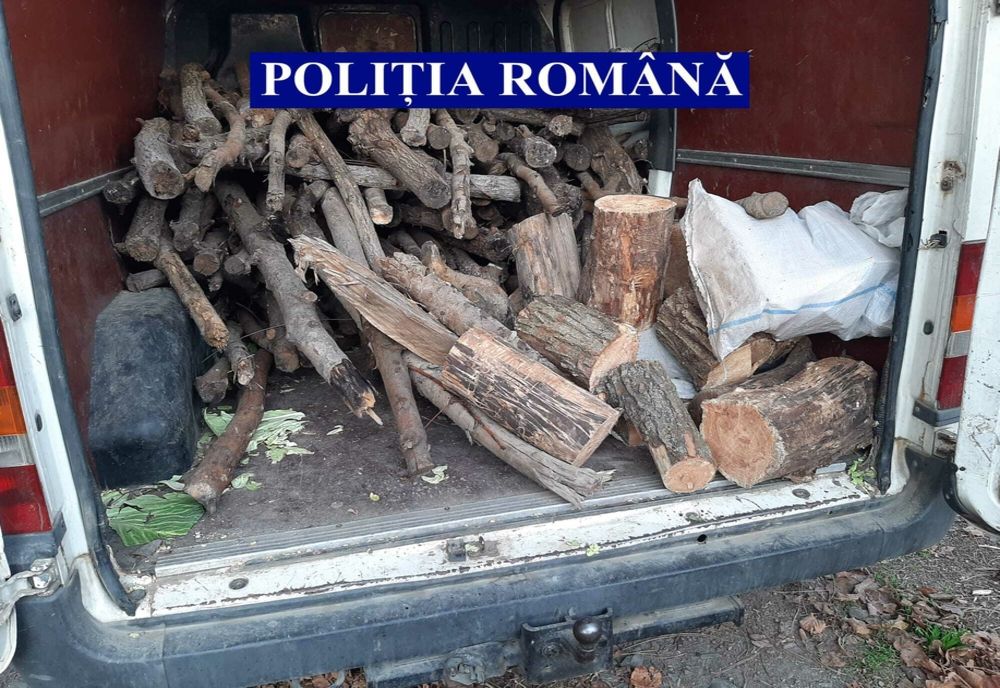 Un ofițer SRI din Cluj a fost prins la furat lemne, în pădure