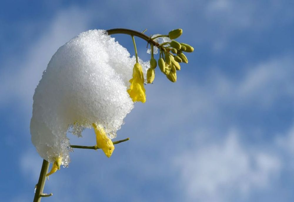 ANM anunță temperaturi anormale pentru luna ianuarie - Care e prognoza