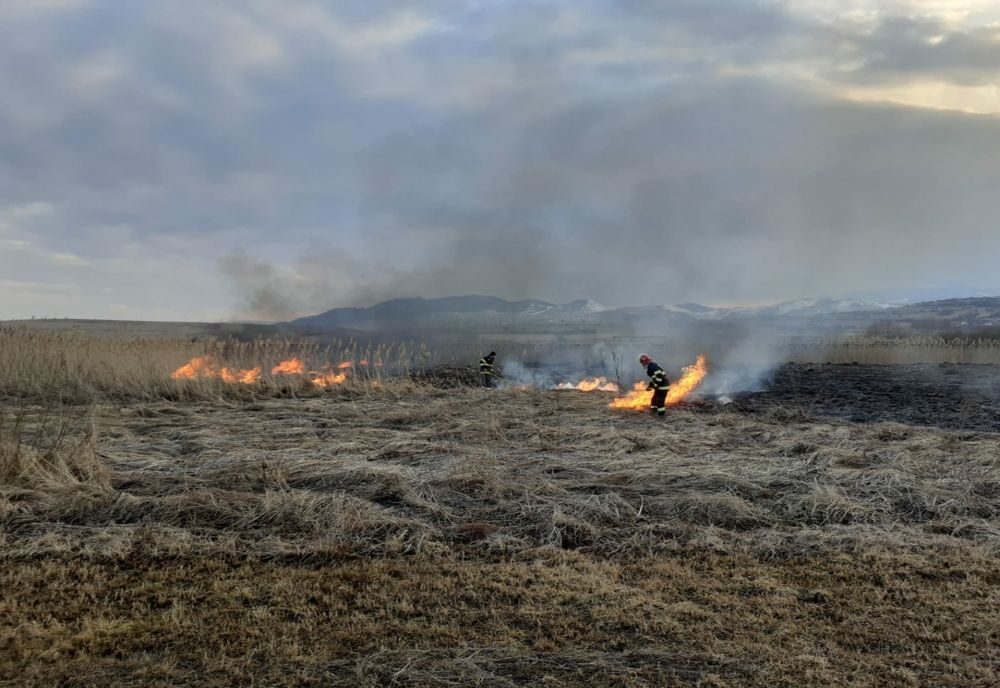 Zeci de incendii de vegetaţie, în ultimele zile, în mai multe localităţi din judeţul Cluj
