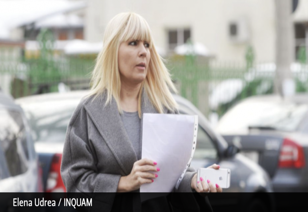 Culisele Statului Paralel | Avocat: Decizia CCR o scapă pe Elena Udrea în 2 dosare