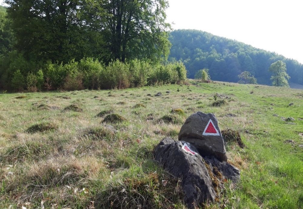 Trasee turistice montane omologate în județul Cluj