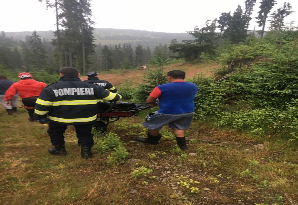 Clujean mort la munte în timp ce culegea fructe de pădure