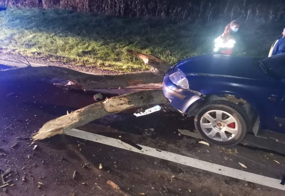 Grav accident în judeţul Cluj! Pieton rănit după ce un şofer a lovit un copac aflat pe şosea (FOTO)