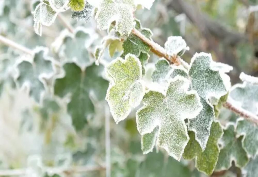 Vremea se răcește brusc în toată țara. Temperaturile coboară drastic - ne pregătim de ÎNGHEȚ. Prognoza completă ANM