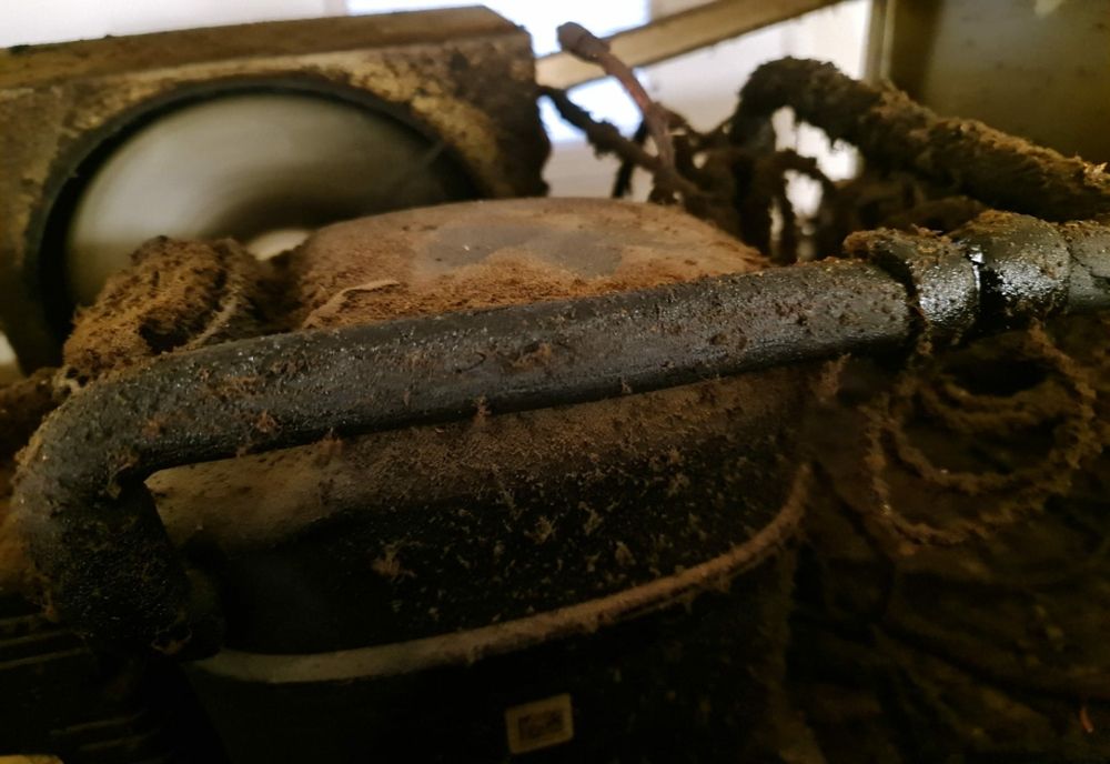 Restaurante şi fast food-uri din Cluj-Napoca închise de Protecţia Consumatorului