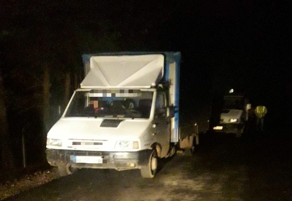 Doi bărbaţi din Sălaj şi Cluj prinşi transportând lemne fără documente legale