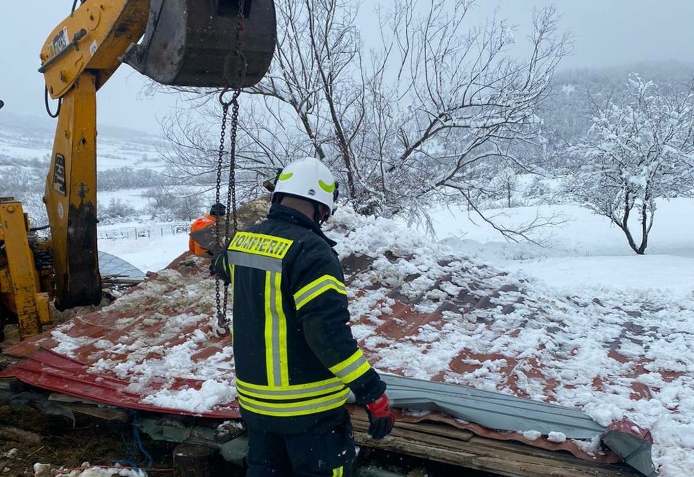 80 de oi au murit după ce saivanul în care se aflau s-a prăbuşit peste ele (FOTO)