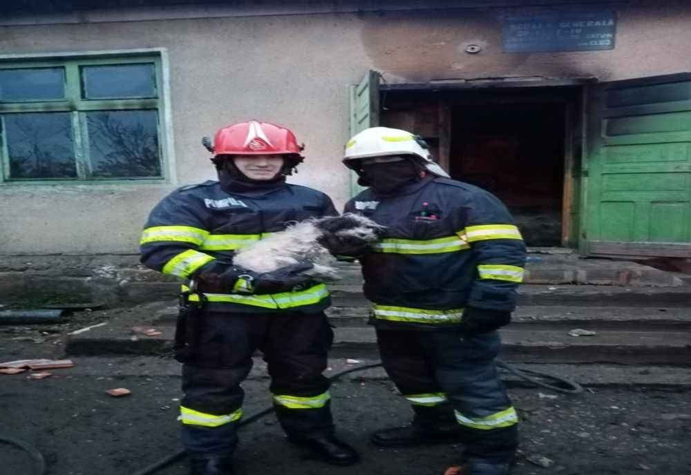 Incendiu la o clădire din localitatea Boj-Cătun | Pompierii au salvat un câine 