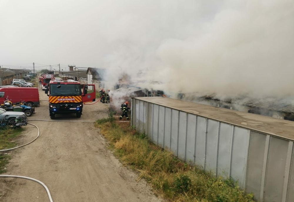 Hală cuprinsă de flăcări în Jucu de Mijloc (FOTO)