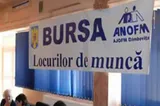 Bursa locurilor de muncă pentru absolvenți: aproape 16.300 de posturi disponibile în Cluj