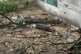 Ploi torențiale și pericol de inundații! ANM avertizează asupra unui Cod roșu în Cluj