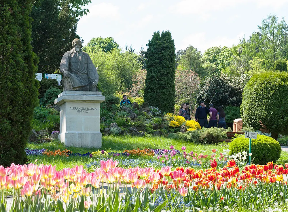 gradina botanica cluj