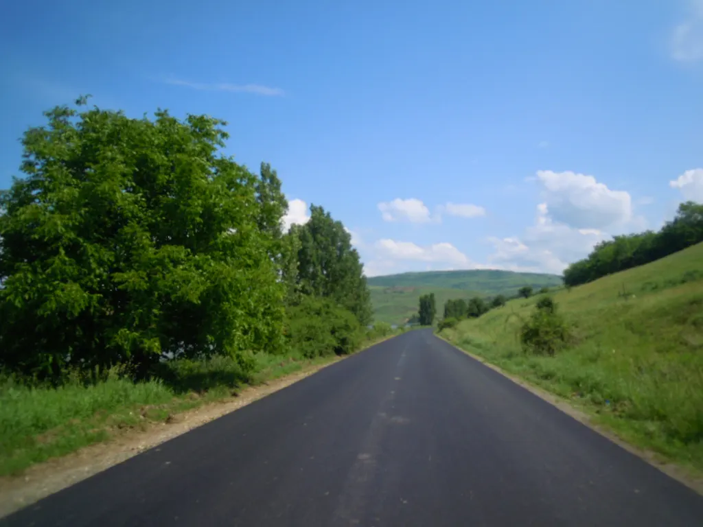 DSCN3491